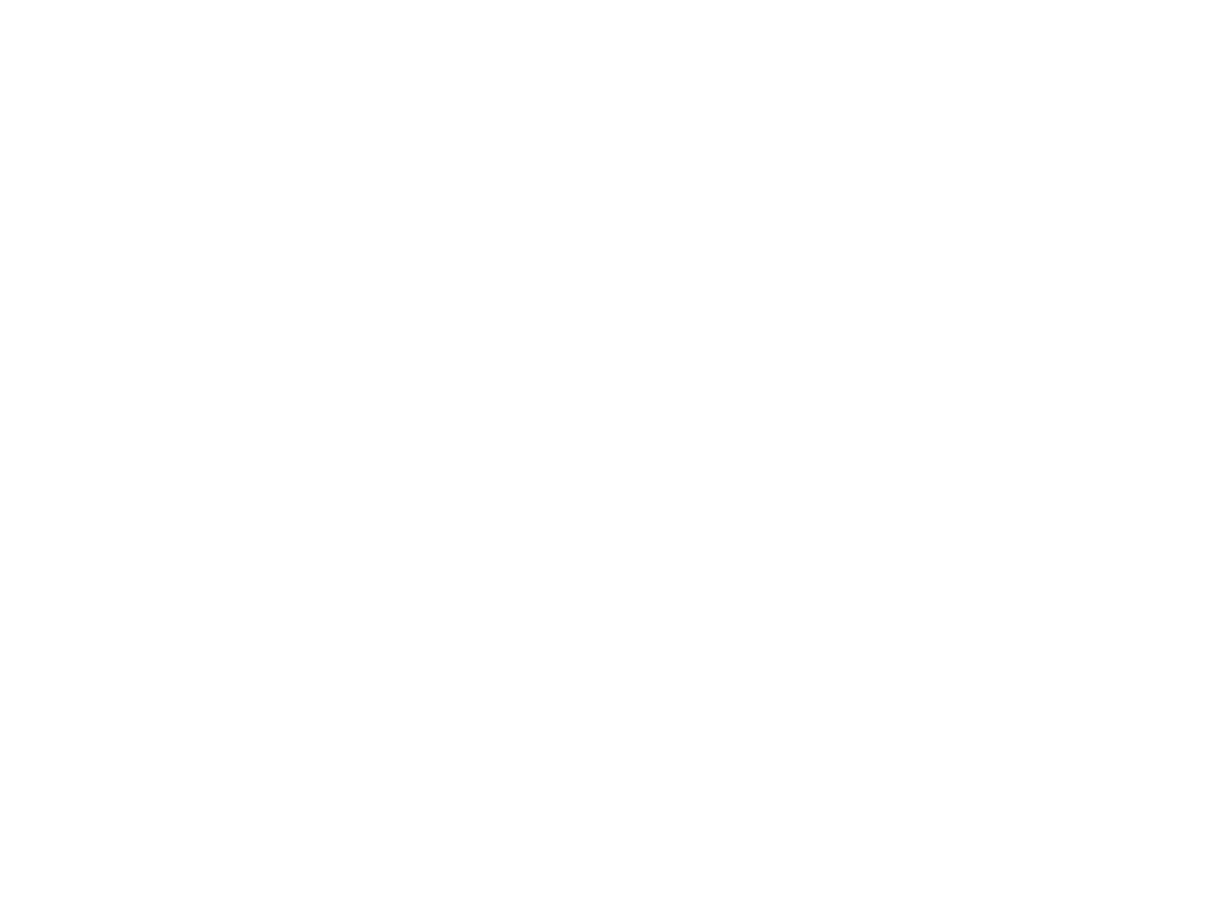 双白线