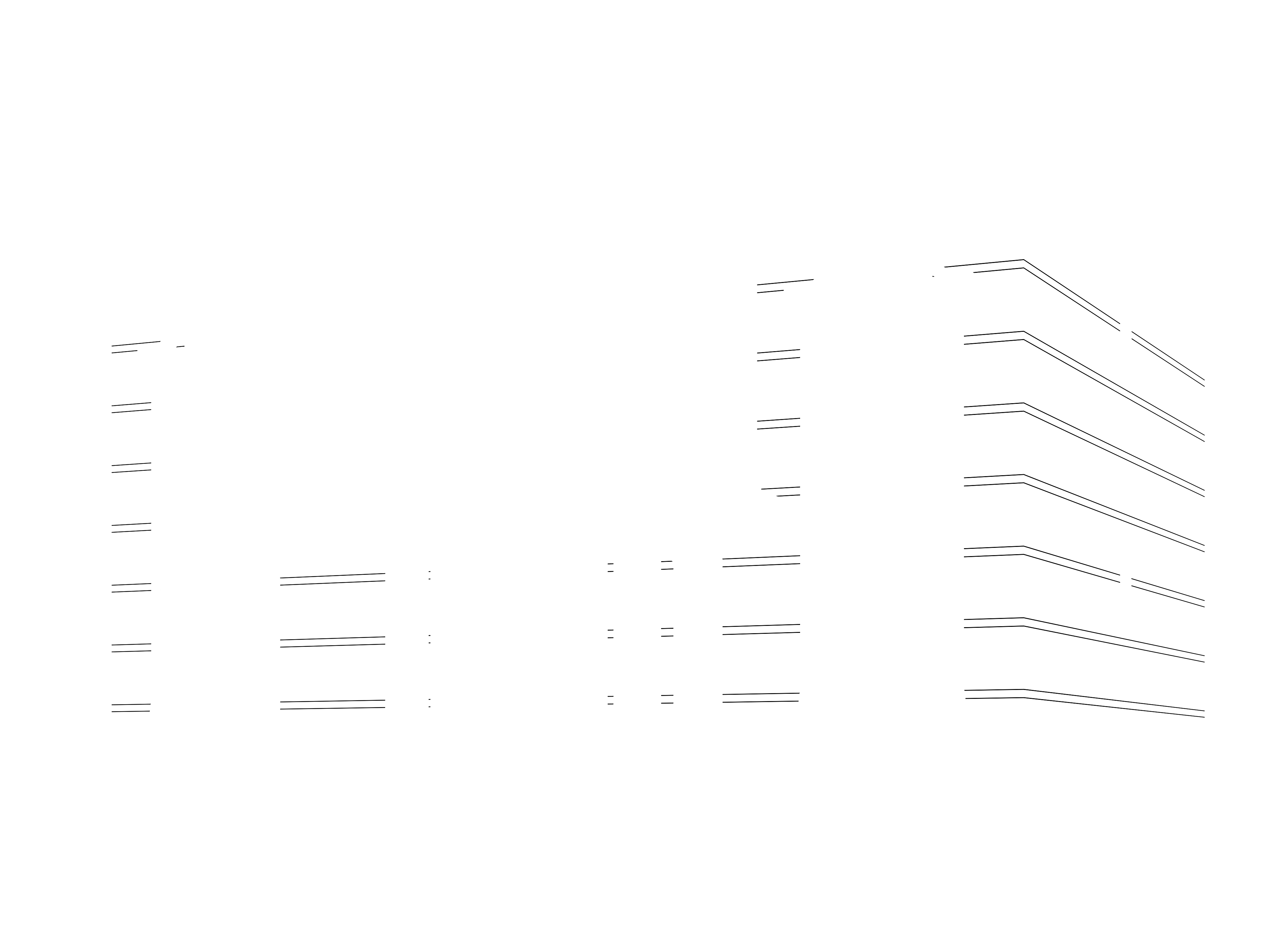 双黑线