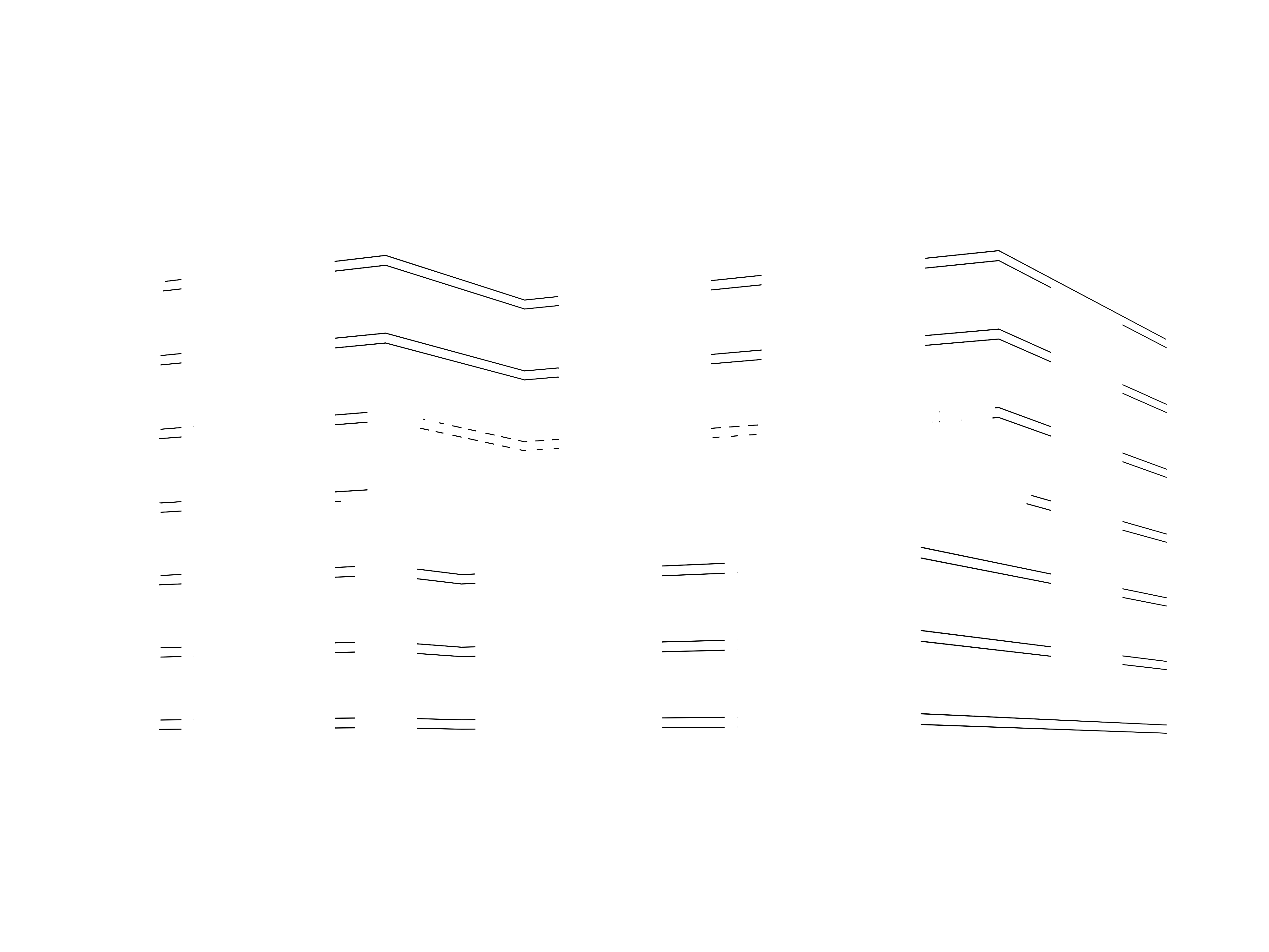 双黑线