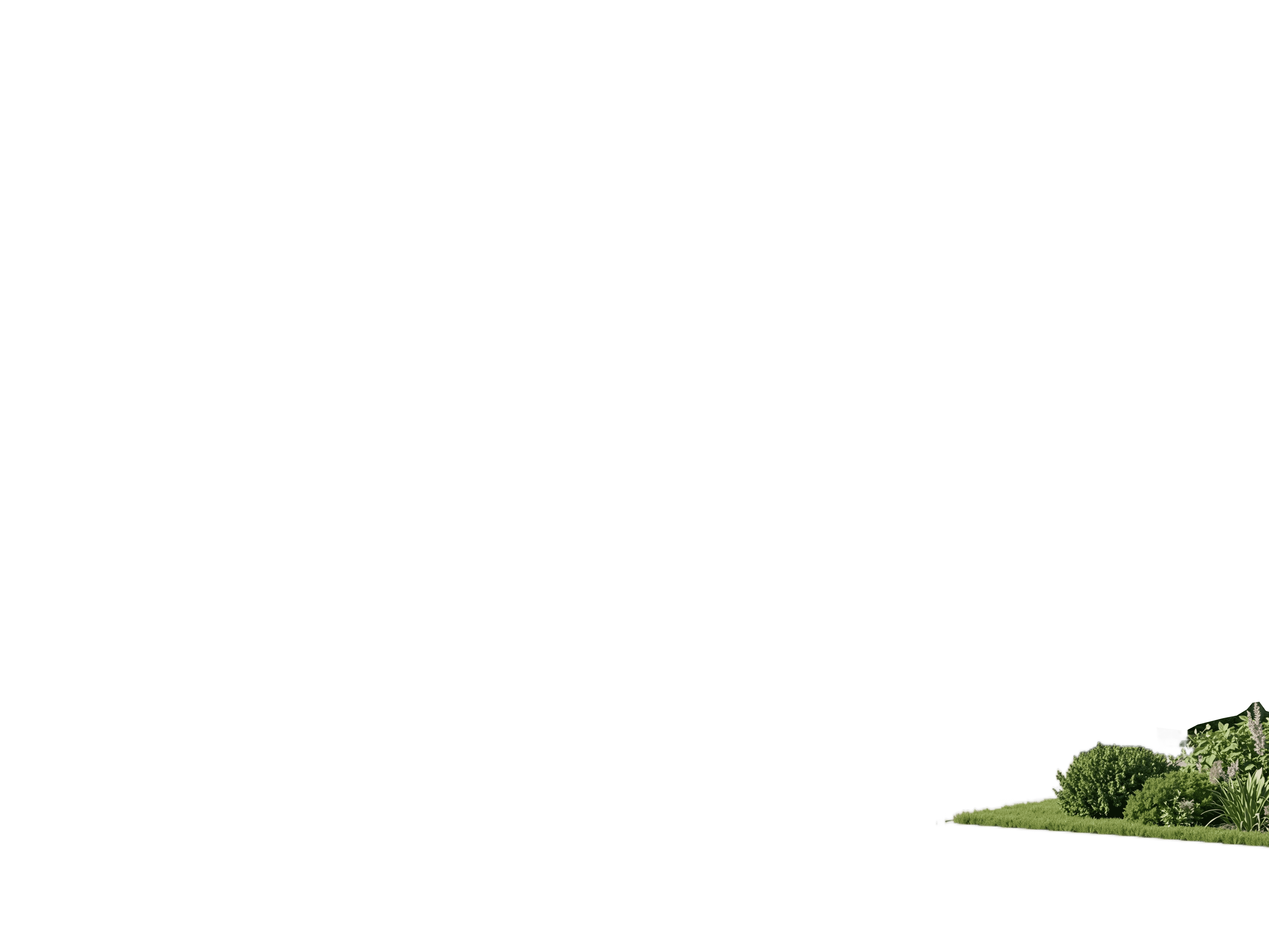 前景植物