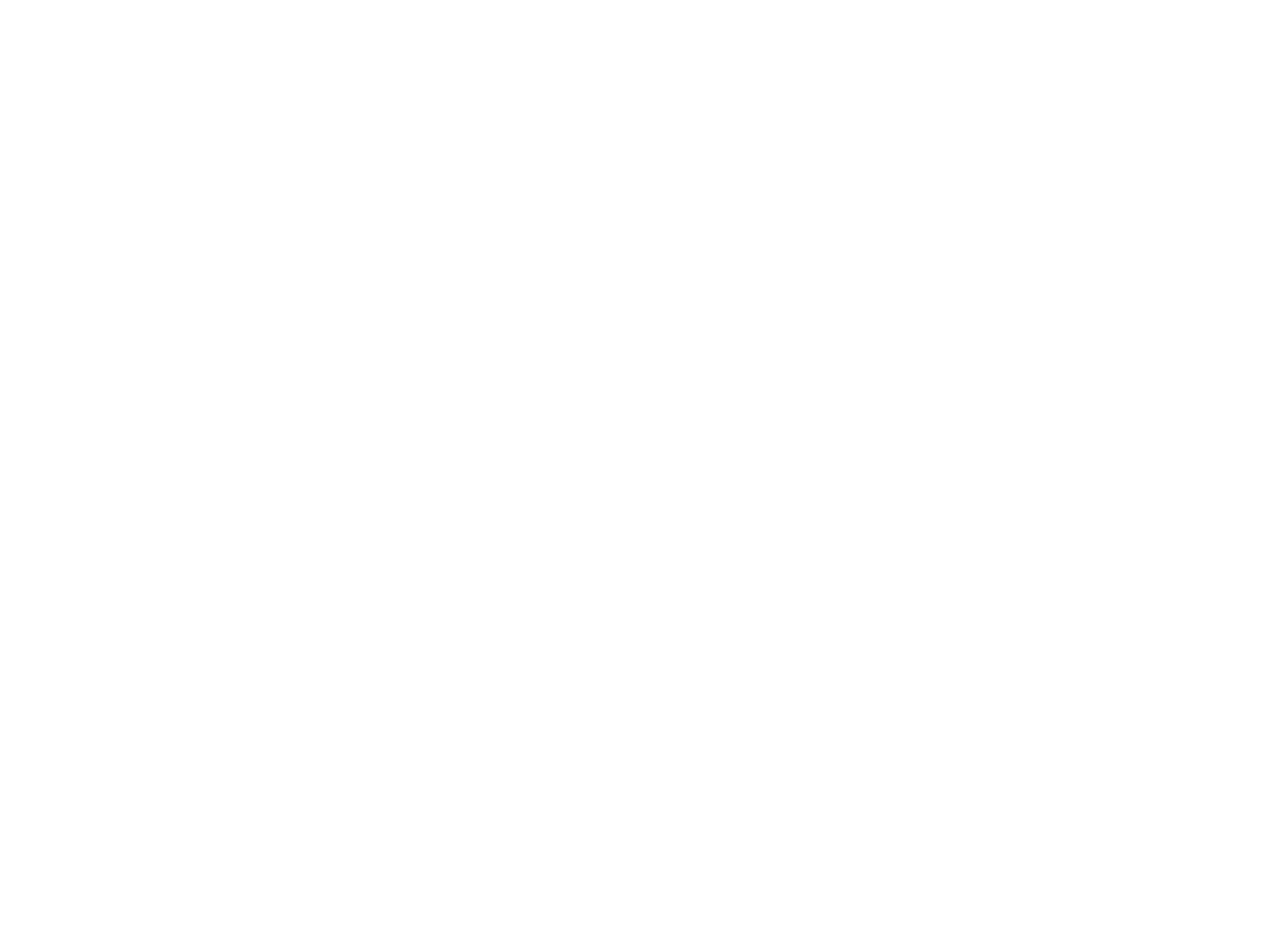 双白线