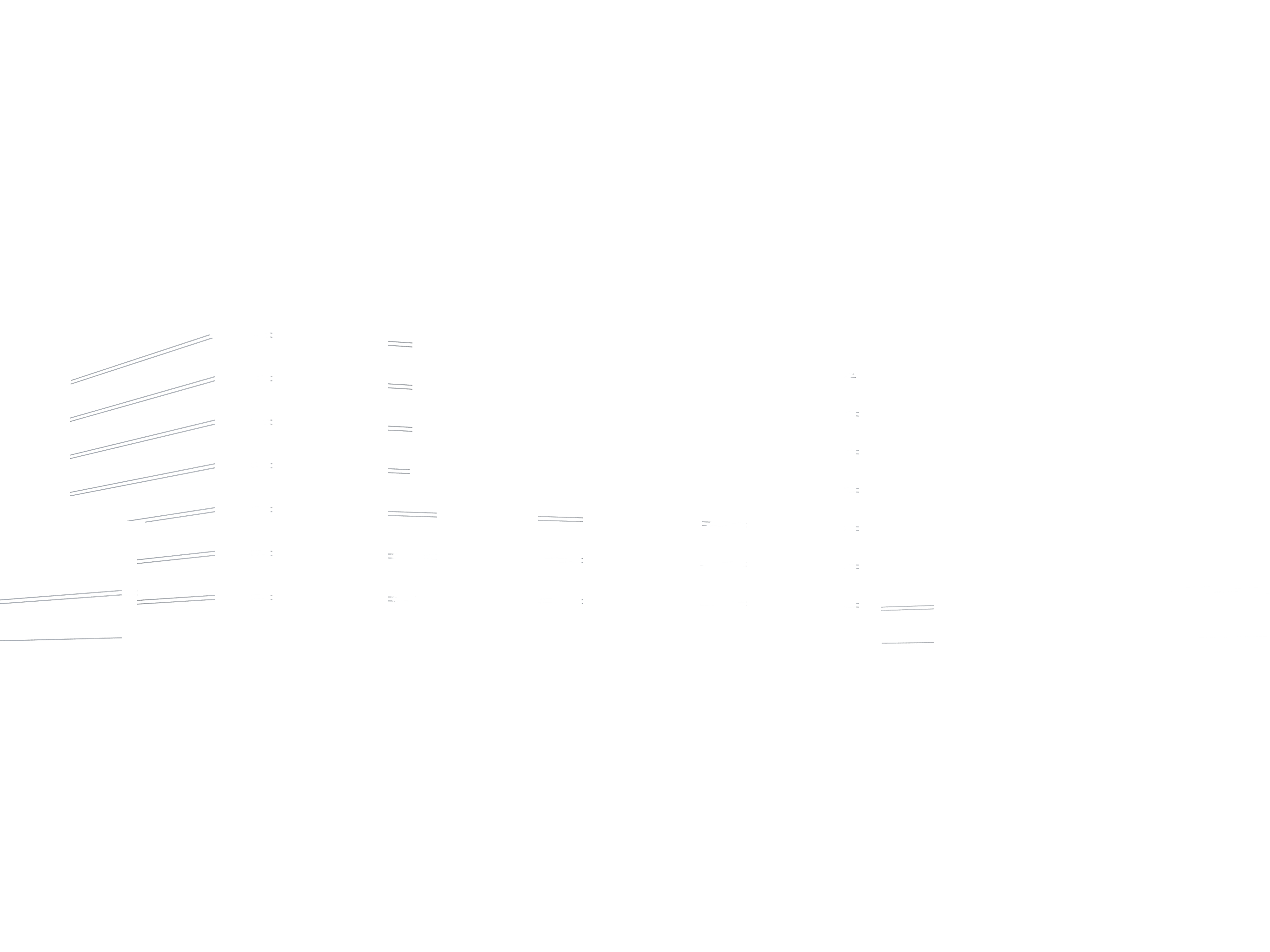 双白线